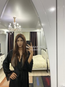 Транс Жезказгана Транс№458055 Анеля Фотография №3510231
