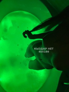 Проститутка Караганды Девушка№405166 Body Massage Фотография №3664336
