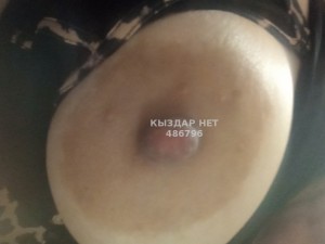 Проститутка Туркестана Девушка№486796 Дана Фотография №3673775