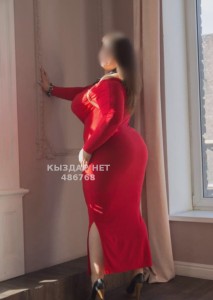 Проститутка Шымкента Анкета №486768 Фотография №3690909
