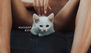 Проститутка Астаны Девушка№8559 L A R A Астана до 29 мая Фотография №3703547