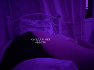 Проститутка Алматы Анкета №492078 Фотография №3711533