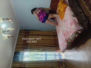 Проститутка Алматы Девушка№491864 Дана Фотография №3716194